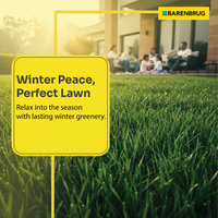 TOP-GUN-ll-Winter-Peace-Perfect Lawn