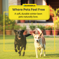 TOP-GUN-ll-Pets-Feel-Free