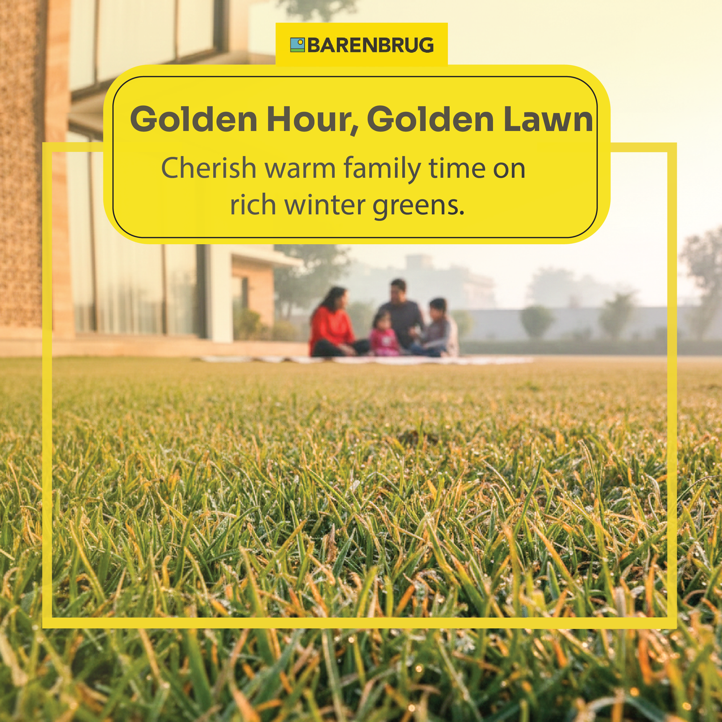 TOP  GUN ll Winter Golden Lawn Cherish Warm Familu Time on Rich Winter Greens