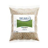 Top_Gun_II_Perennial_Reygras-Seeds