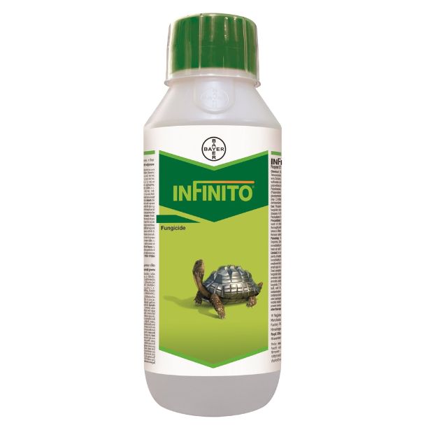 Infinito