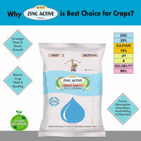 Zinc Active
