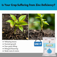 Zinc Active