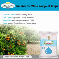 Zinc Active