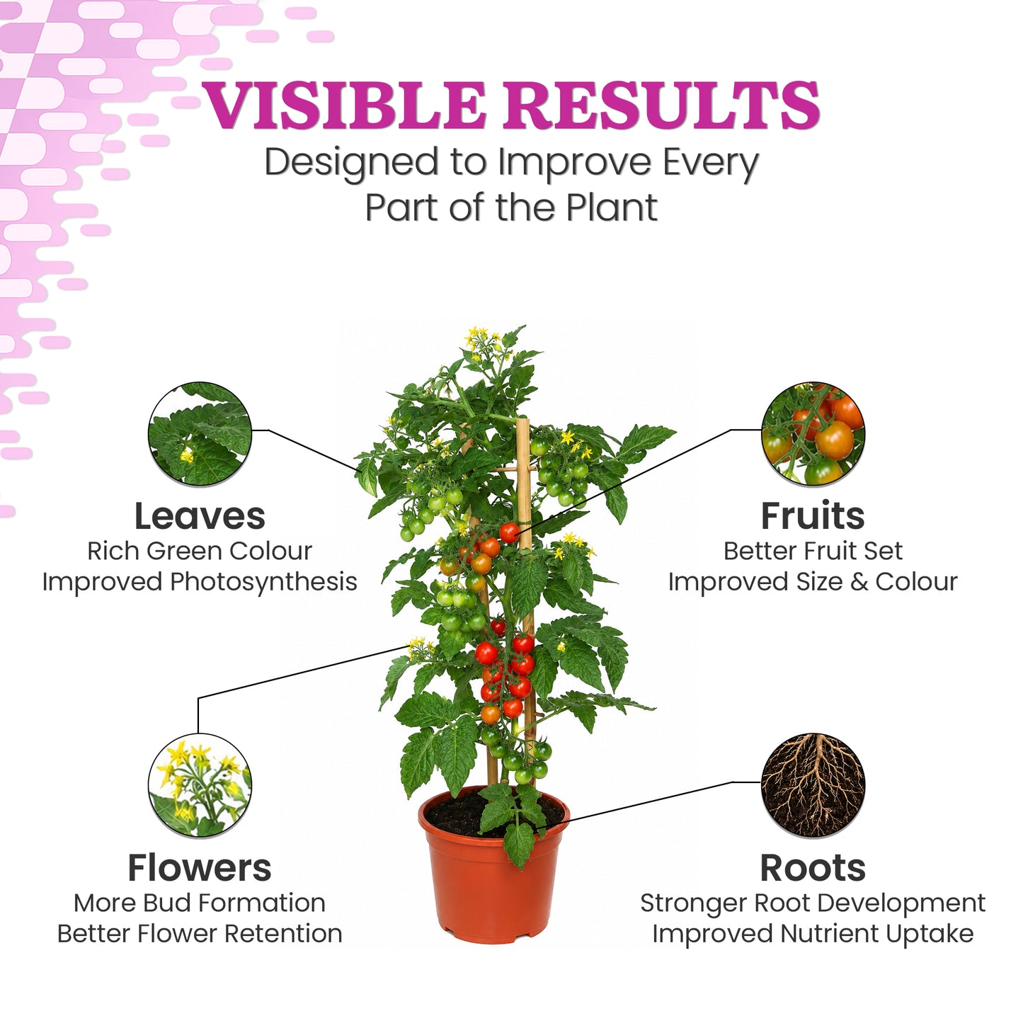 Aminoz Foliar