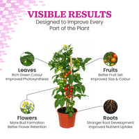 Aminoz Foliar