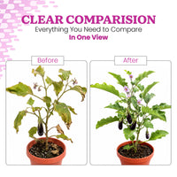 Aminoz Foliar