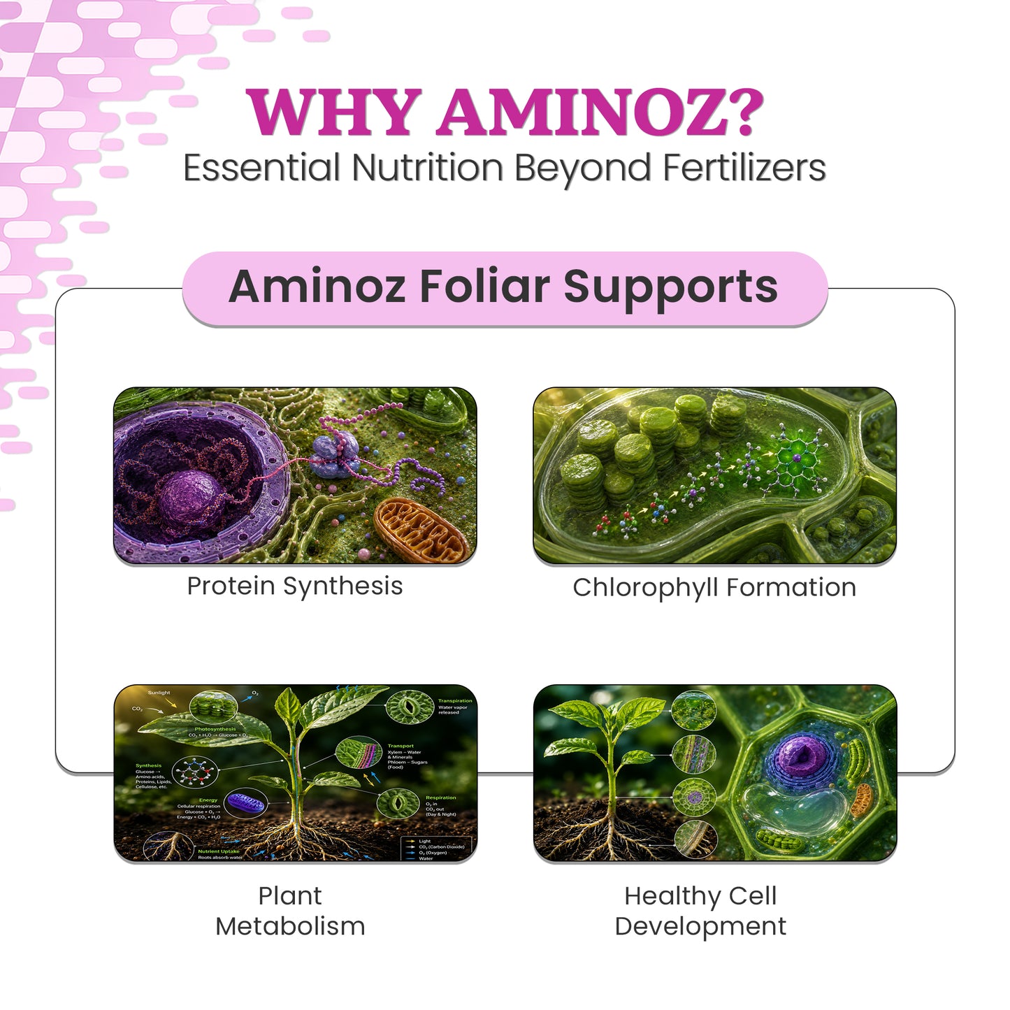 Aminoz Foliar