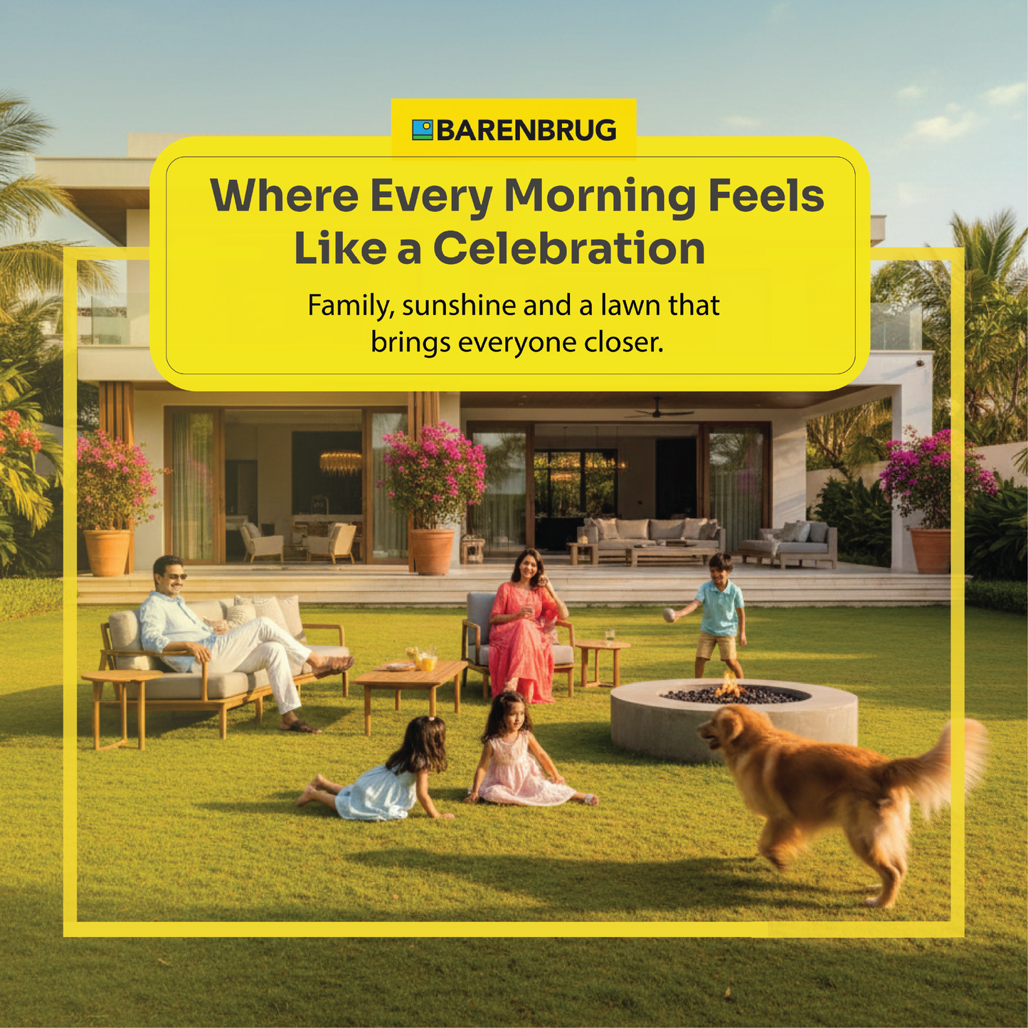 Arid 3 tall fescue grass seed packaging close-up