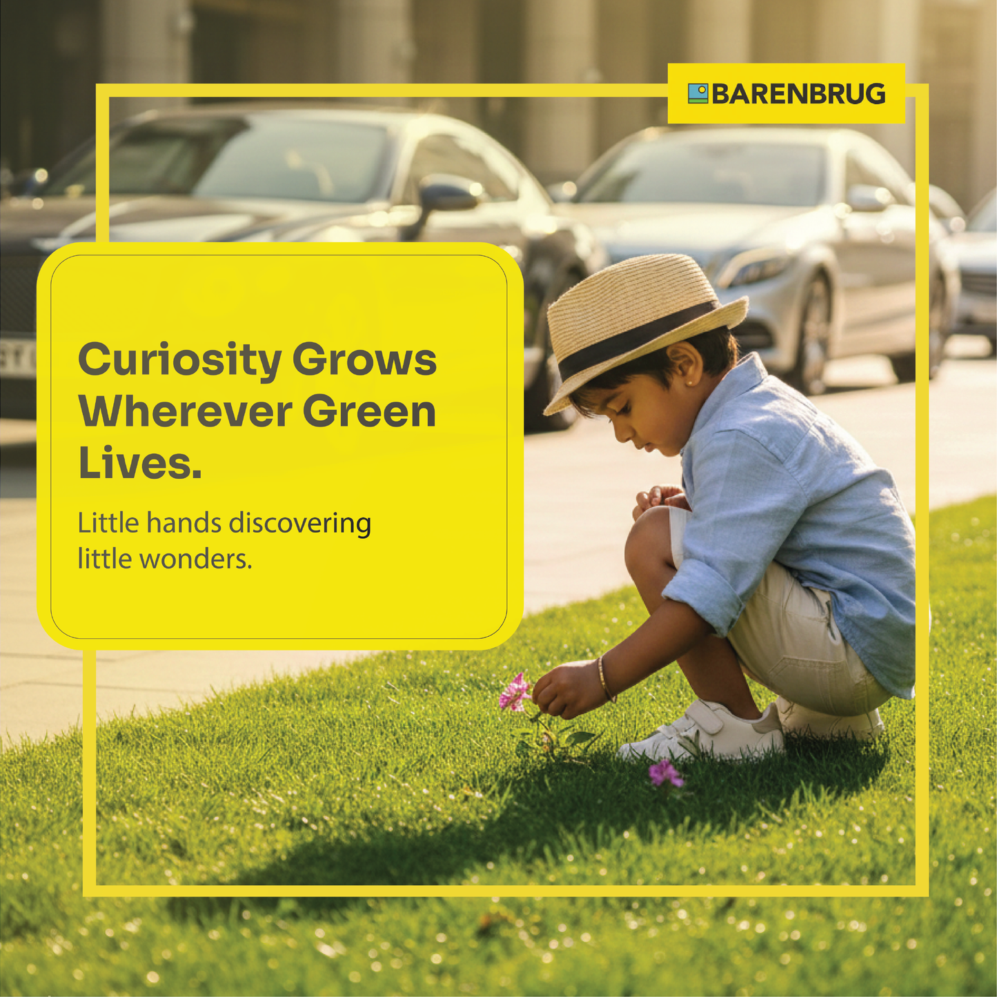 Tall fescue lawn turf on sports field from Arid 3 seed