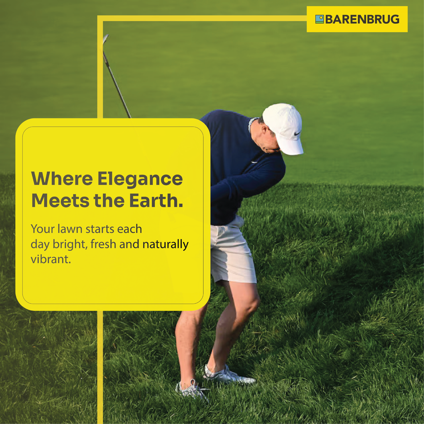 Arid 3 tall fescue grass seed packaging variants and sizes