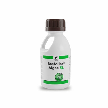 Increased crop yield and better produce quality after Basfoliar Algae SL treatment