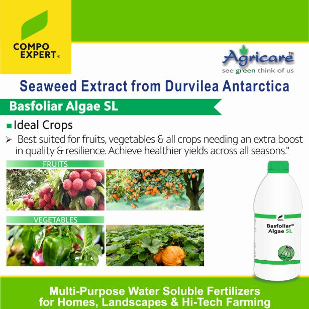 Better flowering and improved fruit setting using Basfoliar Algae SL bio stimulant