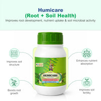 Essential Home Garden Fertilizer Kit