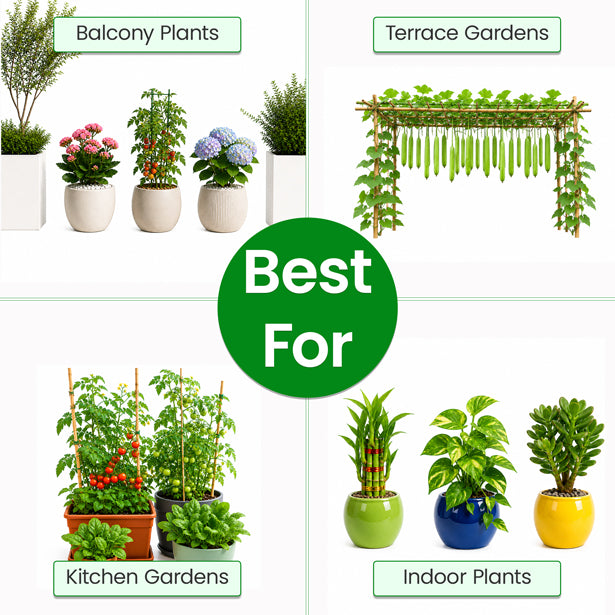 Premium Home Garden Growth & Protection Kit