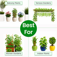 Premium Home Garden Growth & Protection Kit